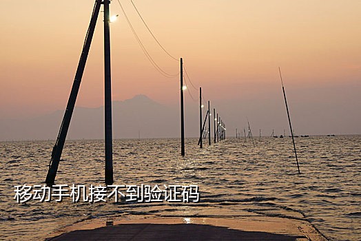 苹果id为什么接不了验证码