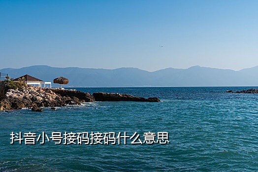 拼多多接入码在哪个位置