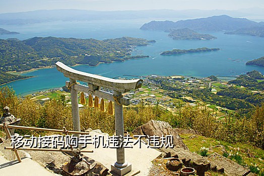 拼多多接码发码平台