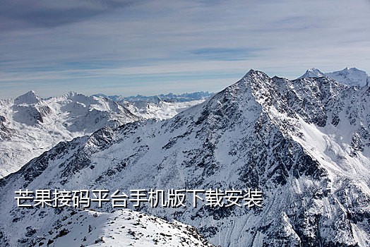 珍爱网接码简介