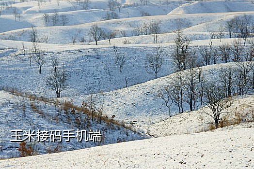 找回淘宝密码接不到验证码