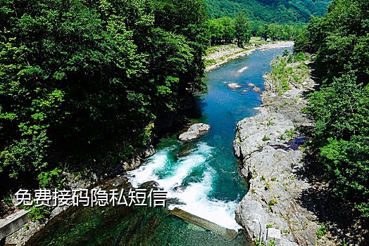 陌陌接码客户端在哪里找