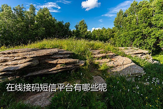 免费接码平台怎么注册微信