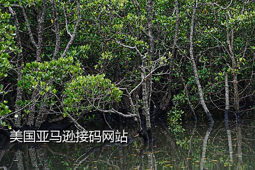 米云短信接码官网下载