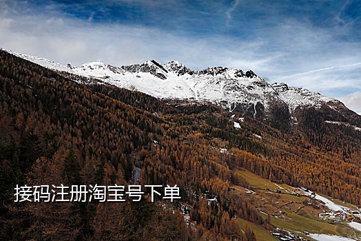 蒙古接码抖音