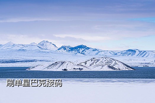 美团首单卡商接码
