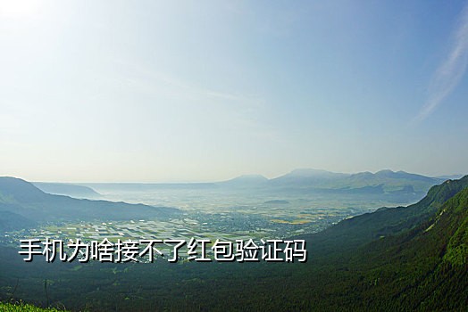 美团霸王餐接码