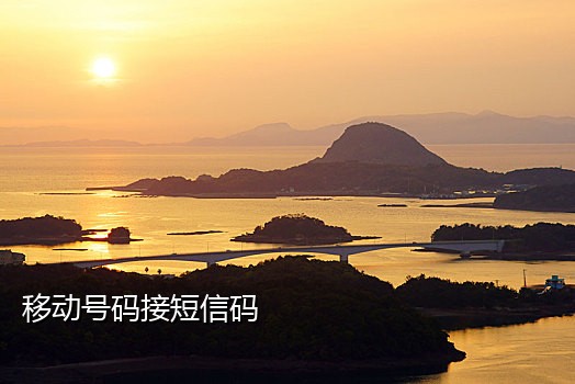 快手号接码