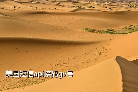 可以接饿了么的接码平台