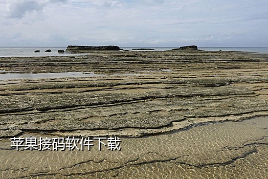 接美团的码