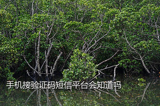 接码违法为什么还有短信