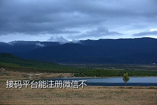 接码微信注册微信