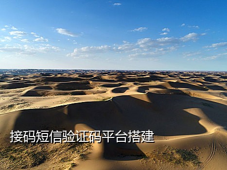 接码手机号平台怎么接