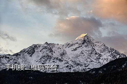 接码平台手机版下载