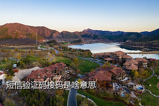 接码平台快手急速版