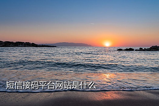 接码平台钉钉
