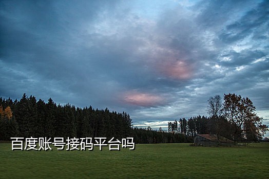 接码短信中国号码怎么收费