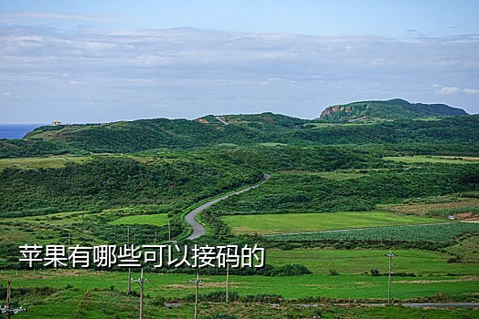 云短信在线接码2021