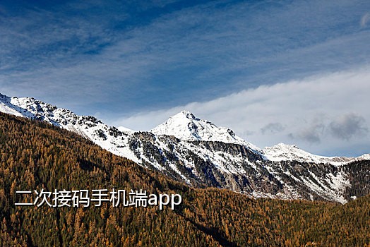 接码的手机号是哪来的