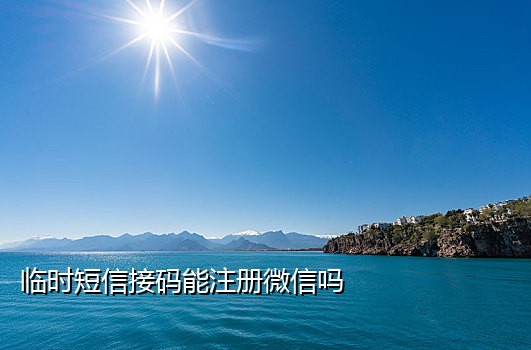 接码的都是什么手机卡号