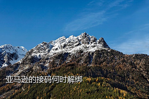 接码地址淘宝号