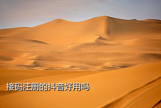 接码地方手机平台