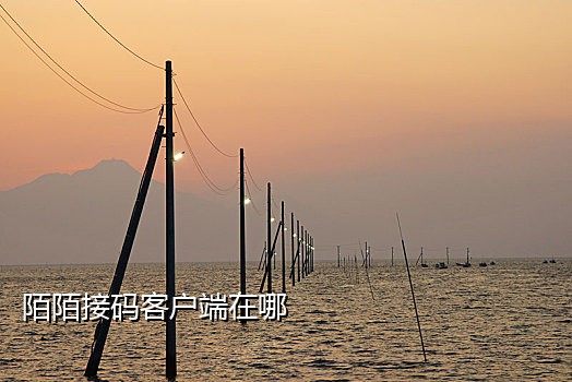 接浏览怎么手机扫码