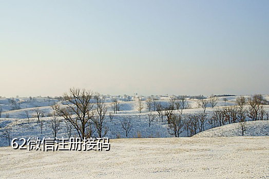 接抖音极速版邀请码