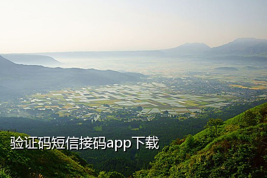 河南京东接码判刑案例