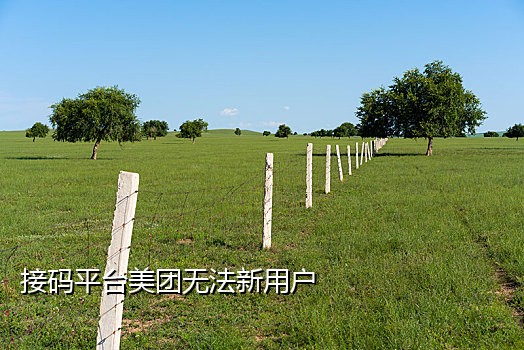 国外支付宝接码