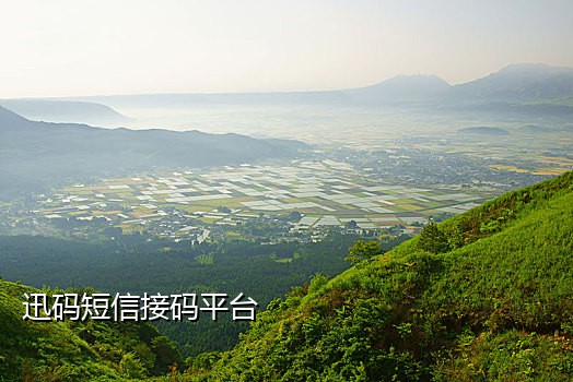 手机接码验证码平台国内