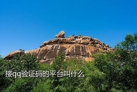 国内虚拟手机号在线接码