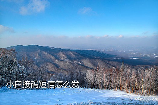 国内手机接码链接