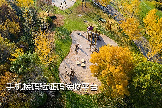 有手机卡的情况下如何批量接码