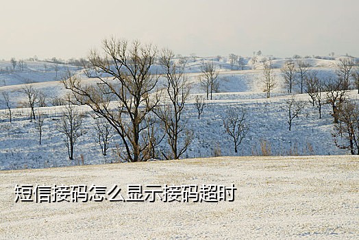固定手机号码的接码