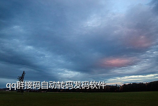 飞光接码短信平台有哪些