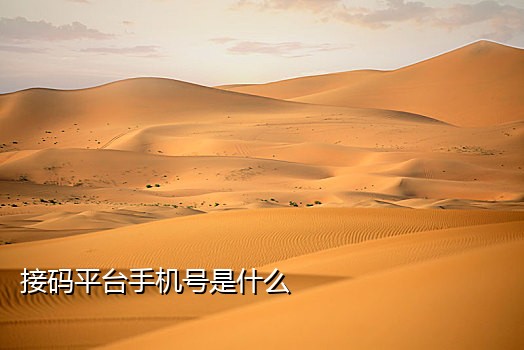 短信验证接码平台