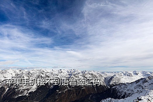 有百度账号的接码平台吗