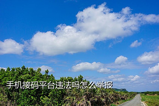 短信接码项目是什么