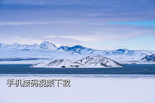 短信接码码平台app
