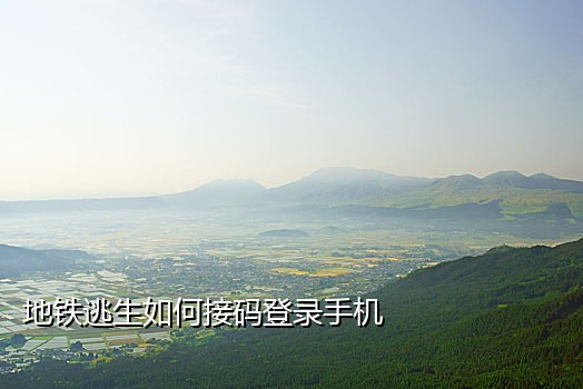 短信接码不死鸟