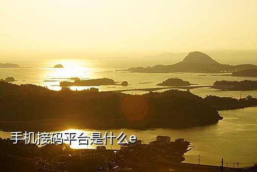 抖音接码怎么用
