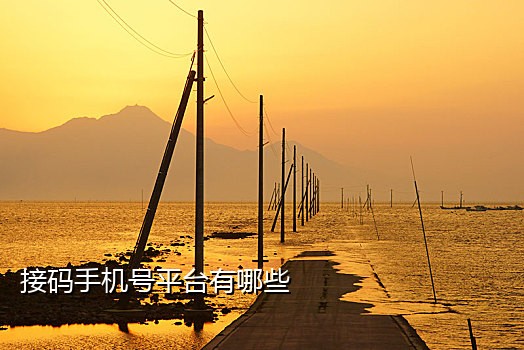 抖音接码短信平台有哪些