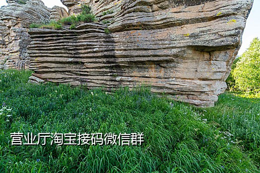 英国虚拟手机号接验证码