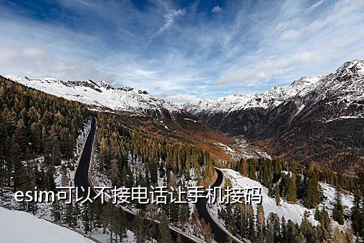 代接短信验证码违法