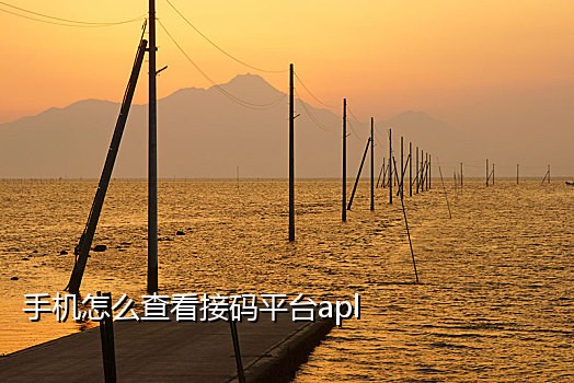 超级云短信接码免费平台