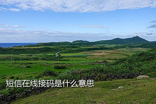 便宜淘宝接码平台