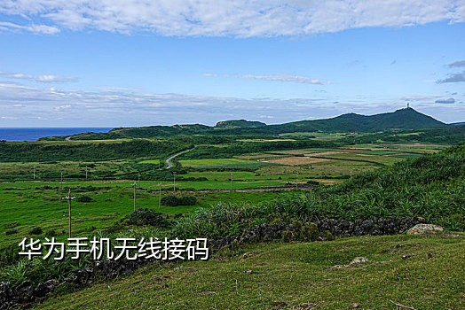 绑定手机号接码平台