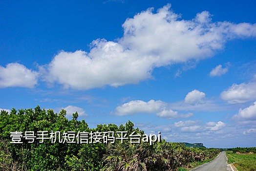 手机接码网站在线使用