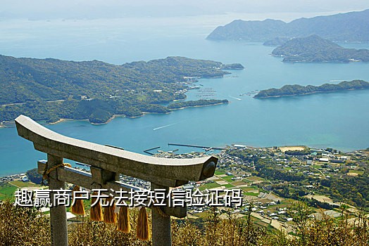 翼支付接不到短信验证码